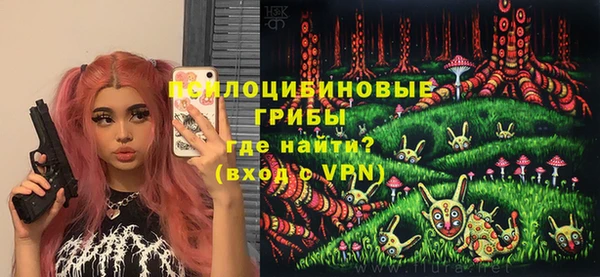 тгк Беломорск