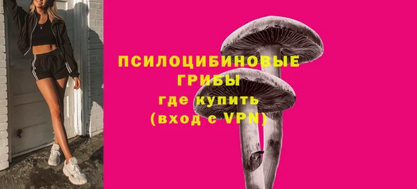 тгк Беломорск