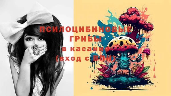 тгк Беломорск