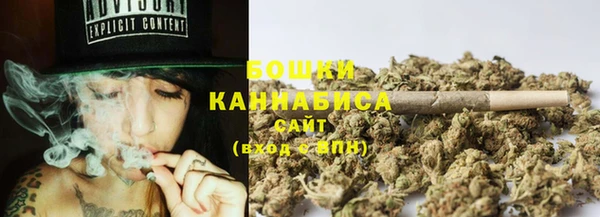 кокс Белокуриха