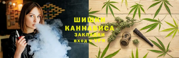 кокс Белокуриха